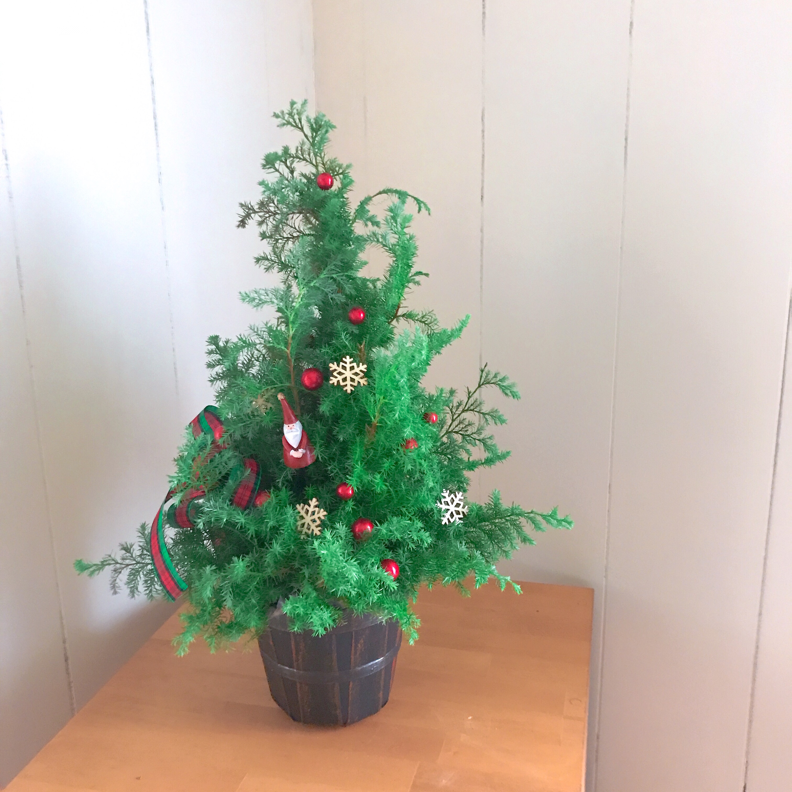 クリスマスツリーアレンジ｜イベント情報｜新潟県スポーツ公園