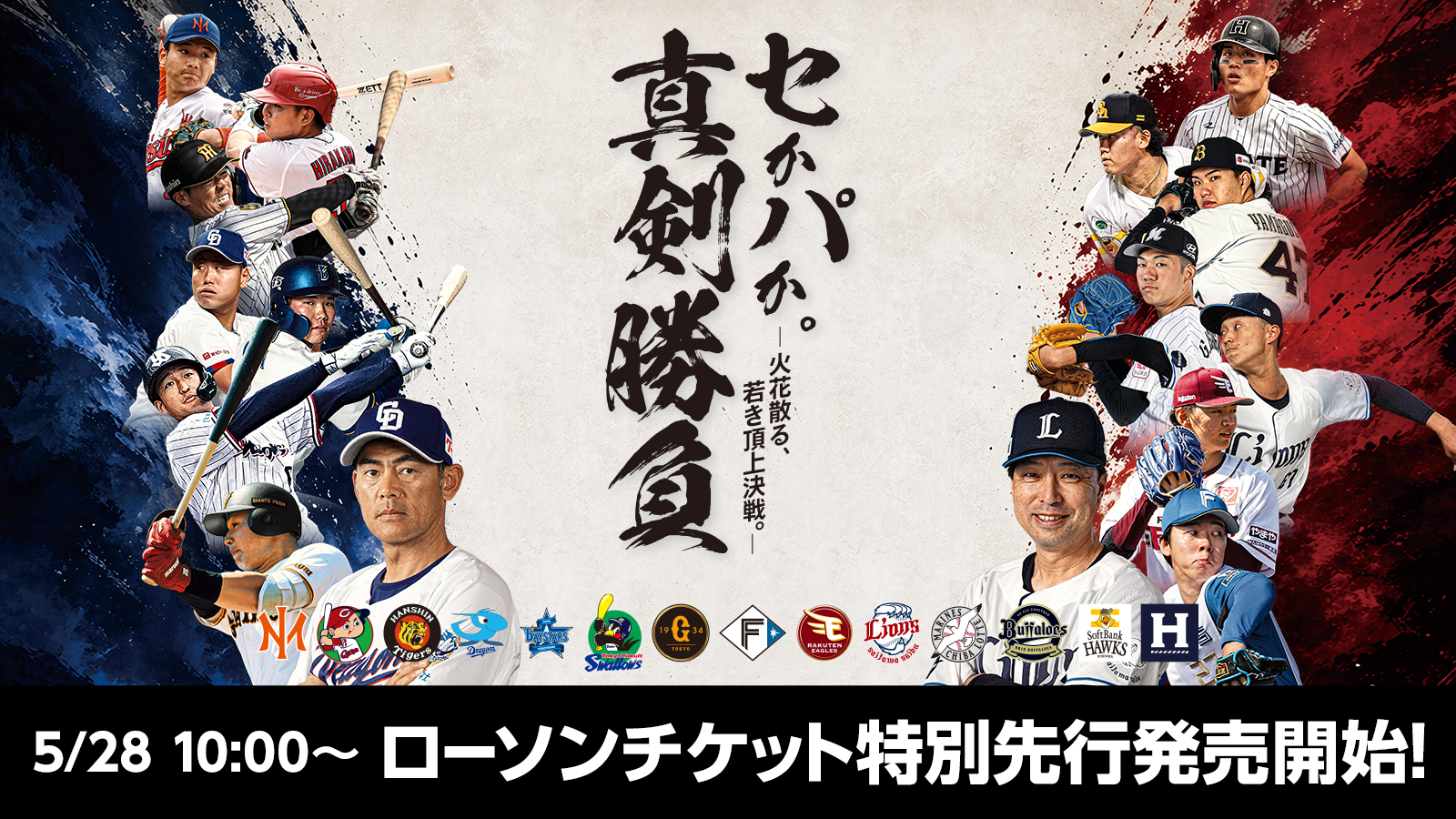 プロ野球フレッシュオールスターゲーム2026チケット発売要項 ※野球場