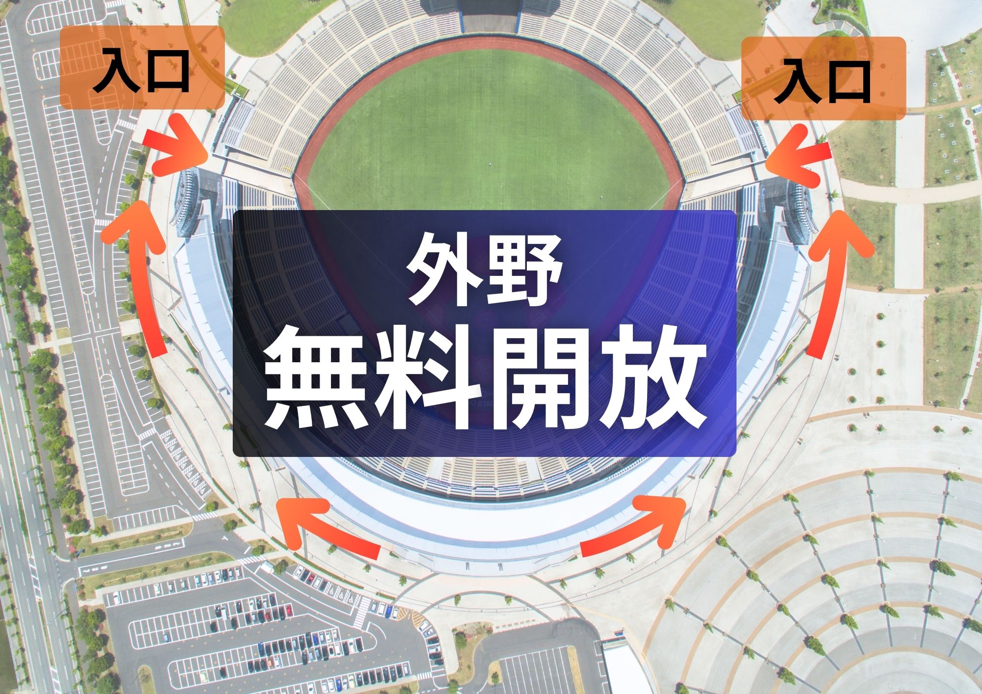秋の特別無料開放！HARD OFF ECOスタジアム新潟の外野人工芝で遊ぼう