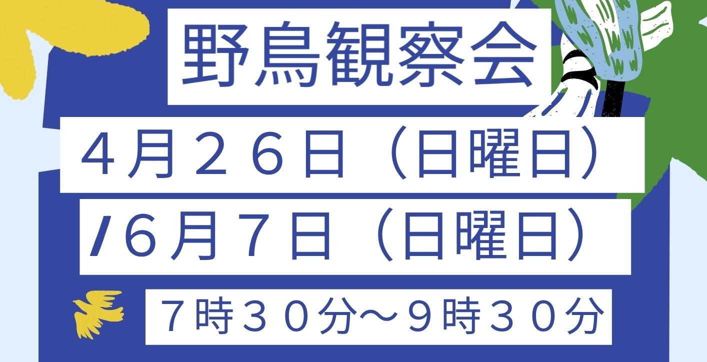 野鳥観察会